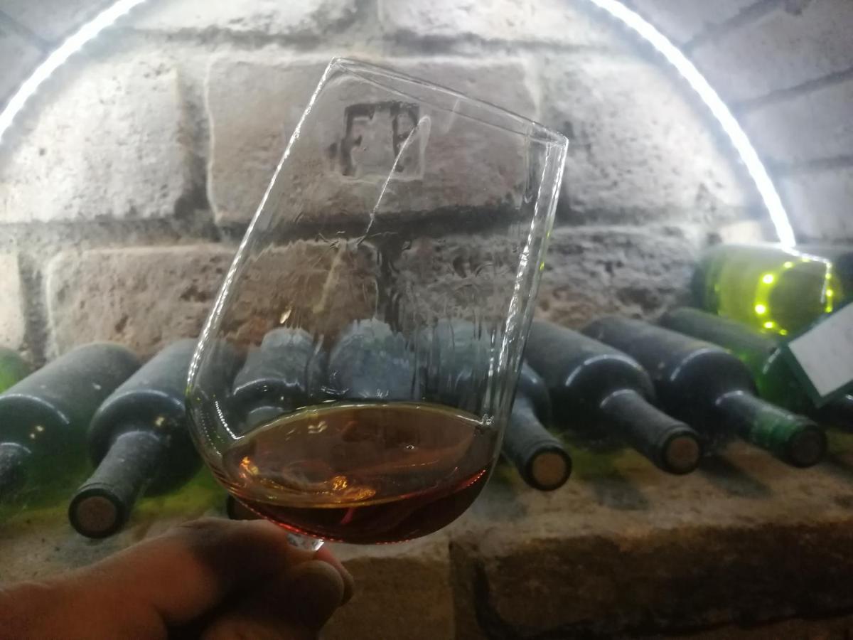 Bohemia privátní ubytování Šatov Exteriér fotografie